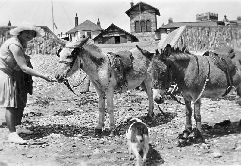 Donkey rides on East Looe beach